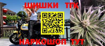 сатива Аргун