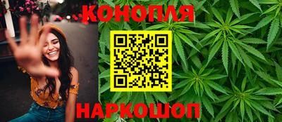 сатива Аргун