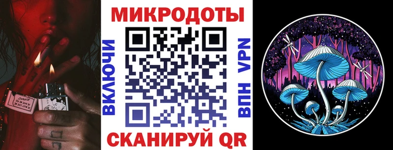 Псилоцибиновые грибы Psilocybine cubensis Волгодонск