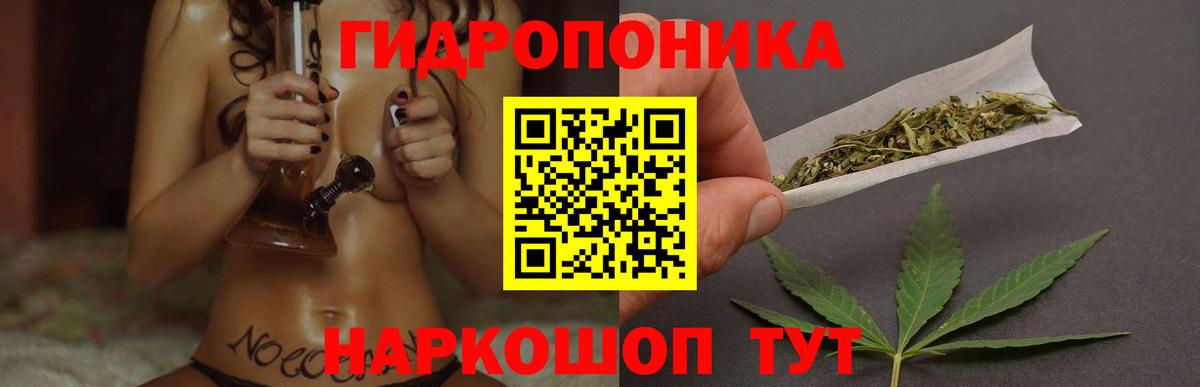 Бошки Шишки планчик  Бошки Шишки SATIVA & INDICA  Волгодонск 